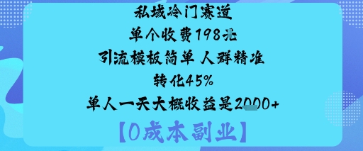 私域冷门赛道:单个收费198米引流模板简单人群精准转化45%单人一天大概收益是1k+-HEIXMI（中国站）