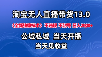 淘宝无人直播13.0，公域私域技术，不封号，不违规布局下半年旺季赛道，日入1K+(独家技术)【揭秘】-HEIXMI（中国站）
