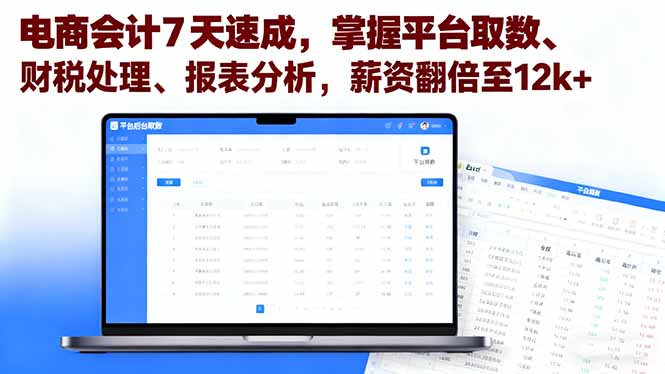 电商会计7天速成，掌握平台取数、财税处理、报表分析，薪资翻倍至12k+-HEIXMI（中国站）