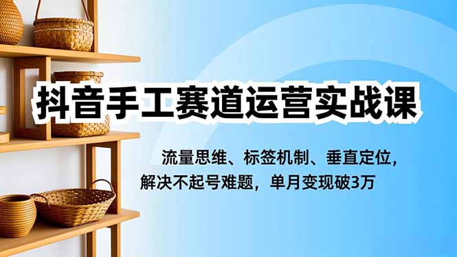 抖音手工赛道运营实战课，流量思维、标签机制、垂直定位，解决不起号难题，单月变现破3万-HEIXMI（中国站）