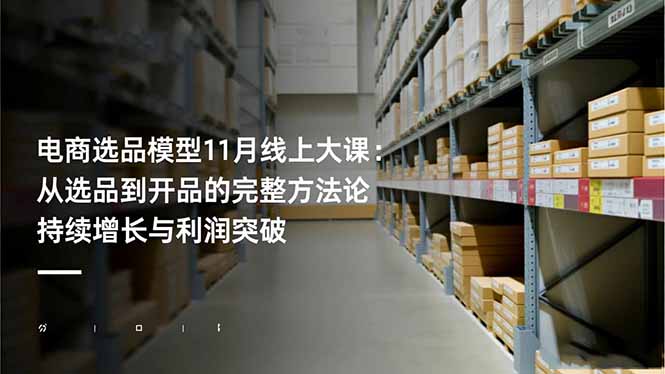 电商选品模型11月线上大课：从选品到开品的完整方法论 持续增长与利润突破-HEIXMI（中国站）