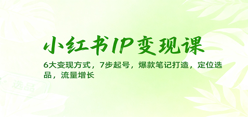 小红书IP变现课：6大变现方式，7步起号，爆款笔记打造，定位选品，流量增长-HEIXMI（中国站）