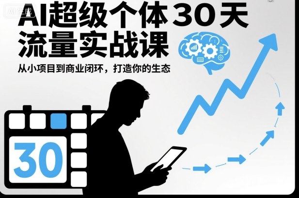 AI超级个体30天流量实战课，从小项目到商业闭环，打造你的生态-HEIXMI（中国站）