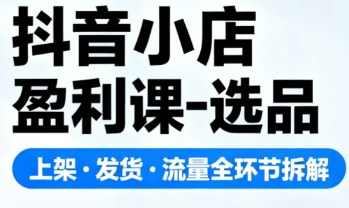 抖音小店盈利课-选品·上架·发货·流量全环节拆解-HEIXMI（中国站）