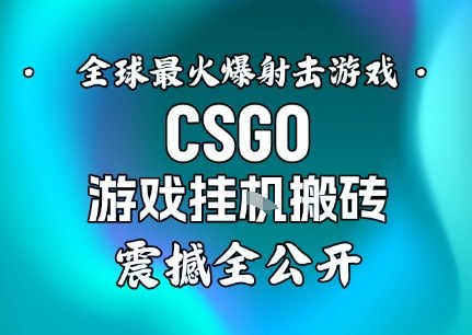 【年底大揭秘】基于全球最火爆的射击CSGO游戏挂G搬砖，日入5张+，震撼公开-HEIXMI（中国站）