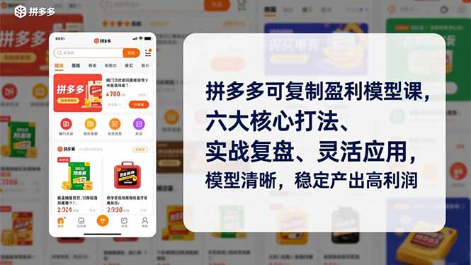 拼多多可复制盈利模型课，六大核心打法、实战复盘、灵活应用，模型清晰，稳定产出高利润-HEIXMI（中国站）
