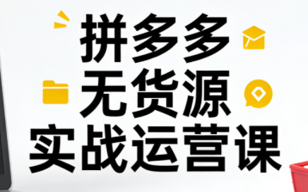 子枫老师·拼多多无货源实战运营课(更新12月)-HEIXMI（中国站）