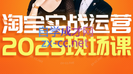 推易·淘宝全套运营现场课程(更新12月)-HEIXMI（中国站）