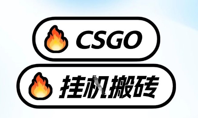 真全网独家CSGO挂G，最新玩法,单日捡漏1K+，不用电脑，不用打游戏【揭秘】-HEIXMI（中国站）