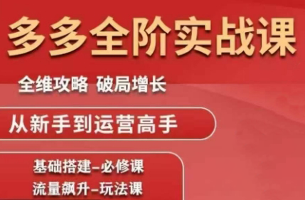 大炮·拼多多全阶实战课程(更新2026)-HEIXMI（中国站）