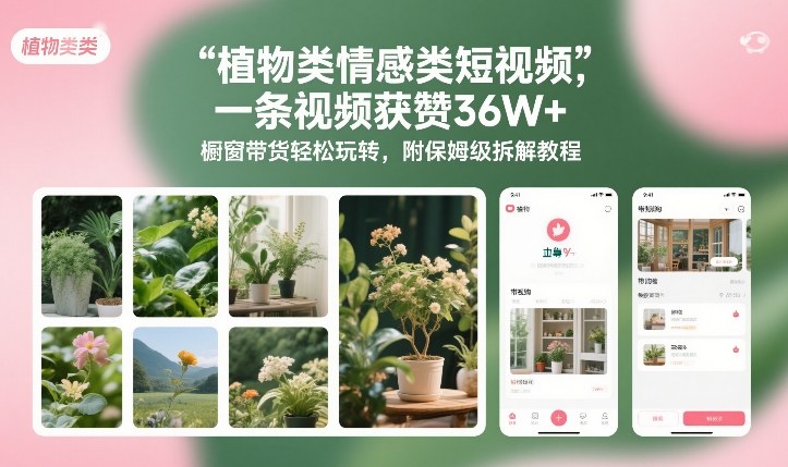植物类情感类短视频，一条视频获赞36W+，橱窗带货轻松玩转，附保姆级拆解教程-HEIXMI（中国站）