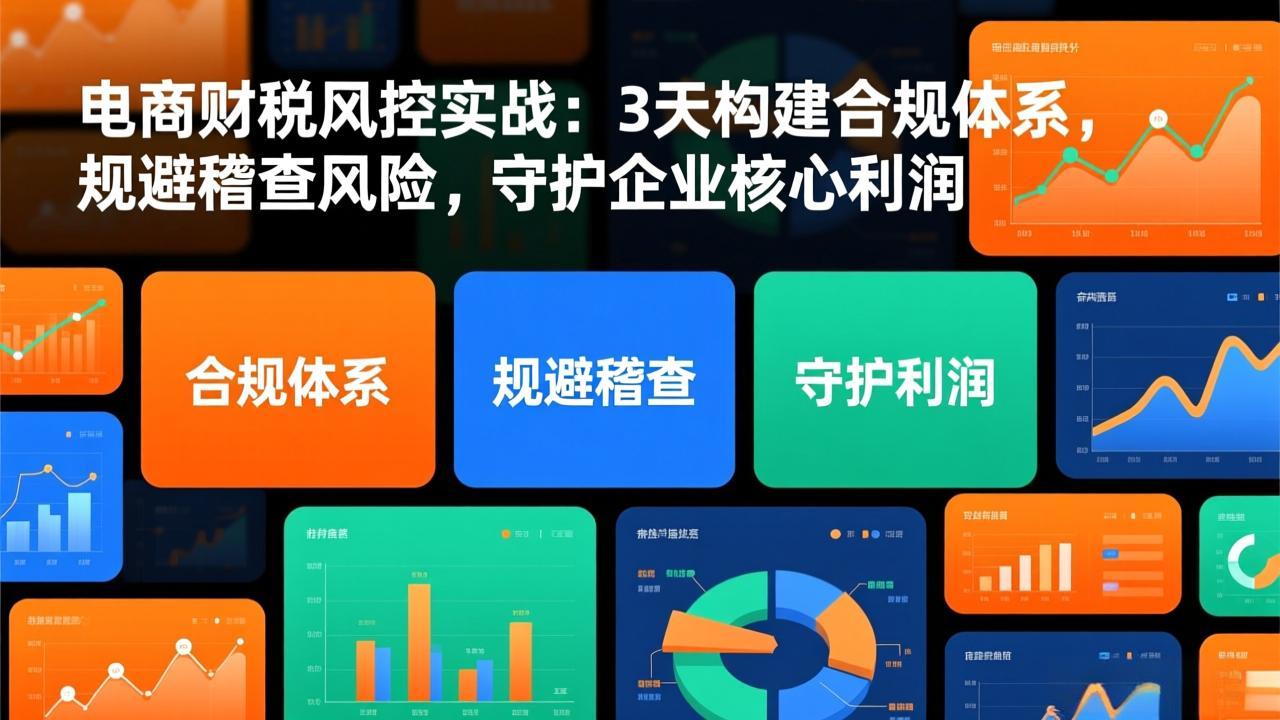 电商财税风控实战：3天构建合规体系，规避稽查风险，守护企业核心利润-HEIXMI（中国站）