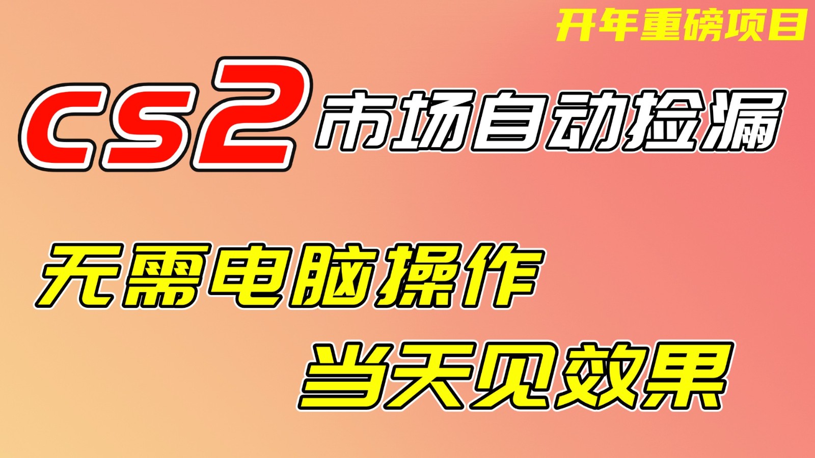 CS2市场挂机项，无需电脑操作，无需进入游戏，当天见效果，支持任何形式验证-HEIXMI（中国站）