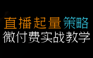半野老师·直播带货起量与微付费必学课视频号(更新2026)-HEIXMI（中国站）