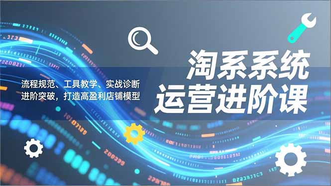 淘系系统运营进阶课2.0，流程规范、工具教学、实战诊断，进阶突破，打造高盈利店铺模型-HEIXMI（中国站）