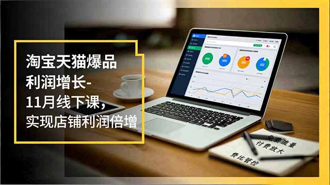 淘宝天猫爆品利润增长-11月线下课，免费流量、付费放大、费比管控，实现店铺利润倍增-HEIXMI（中国站）