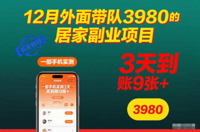 12月外面带队3980的居家副业项目，一部手机实测3天到账9张+，首发教程【揭秘】-HEIXMI（中国站）