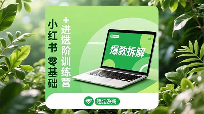 小红书零基础+高阶训练营：安全养号、爆款拆解、长效运营，实现稳定涨粉与变现-HEIXMI（中国站）