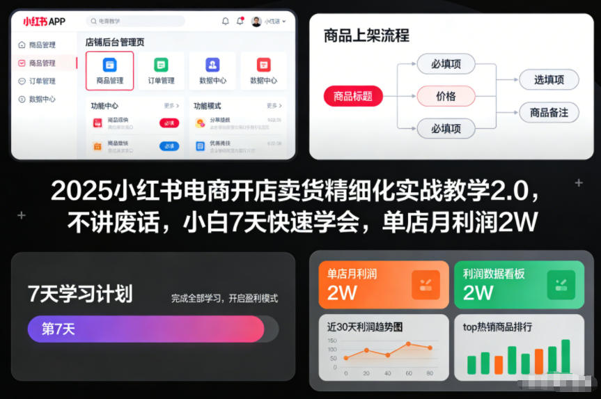 2025小红书电商开店卖货精细化实战教学2.0，不讲废话，小白7天快速学会，单店月利润2W-HEIXMI（中国站）