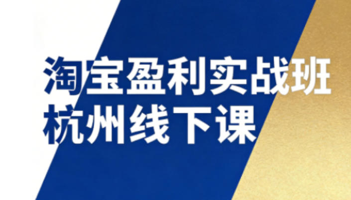 淘宝盈利实战班杭州线下课12月26-28日(音频+字幕)，帮你掌握SOP流程+12门核心技术-HEIXMI（中国站）
