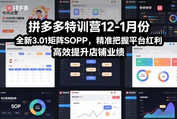 拼多多特训营12-1月份，全新3.01矩阵Sop，精准把握平台红利，高效提升店铺业绩-HEIXMI（中国站）