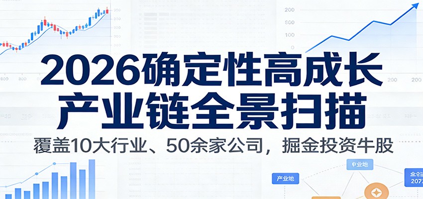 付费文章：2026确定性高成长产业链全景扫描：覆盖10大行业、50余家公司，掘金投资牛股-HEIXMI（中国站）
