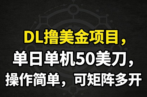 DL撸美金项目，单日单机50美刀，操作简单，可矩阵多开-HEIXMI（中国站）