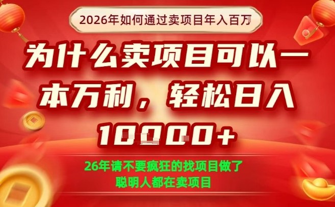 一单净利润1K+，26年想年入100个W，死磕卖项目就够了【揭秘】-HEIXMI（中国站）