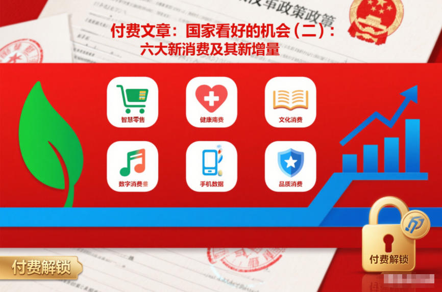 付费文章：国家看好的机会(二)：六大新消费及其新增量-HEIXMI（中国站）