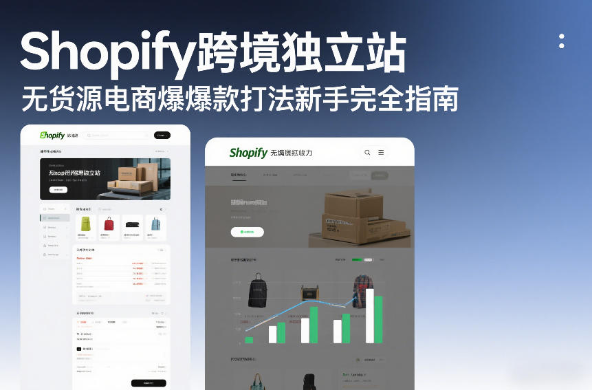 Shopify跨境独立站无货源电商爆款打法新手完全指南-HEIXMI（中国站）