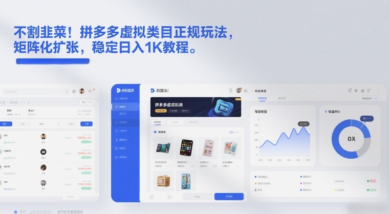 不割韭菜！拼多多虚拟类目正规玩法，矩阵化扩张，稳定日入1K教程【揭秘】-HEIXMI（中国站）