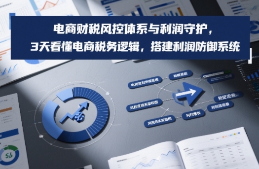 电商财税风控体系与利润守护，3天看懂电商税务逻辑，搭建利润防御系统-HEIXMI（中国站）