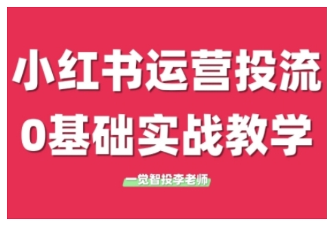 小红书运营投流，小红书广告投放从0到1的实战课，学完即可开始投放(更新26年)-HEIXMI（中国站）