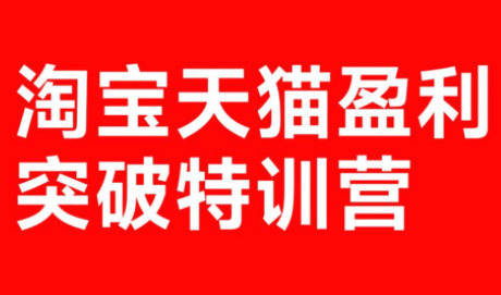 玺承·淘宝天猫盈利突破特训营(25年12月线下课)【音频+字幕】-HEIXMI（中国站）