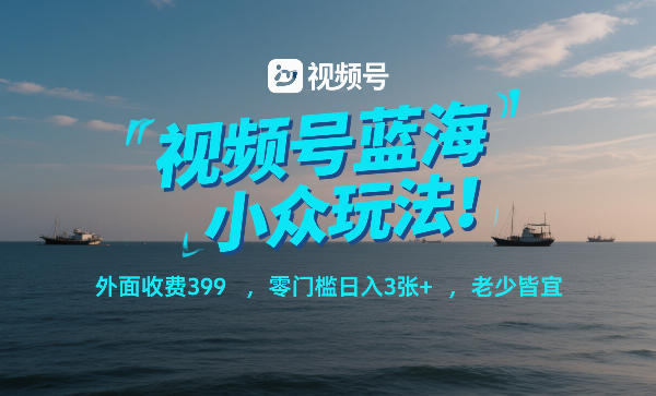 视频号蓝海小众玩法！外面收费399，零门槛日入3张+，老少皆宜-HEIXMI（中国站）
