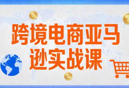 丝丝老师·跨境电商亚马逊实战课(更新2月)-HEIXMI（中国站）