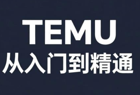 跨境麦冬·TEMU从入门到精通-HEIXMI（中国站）