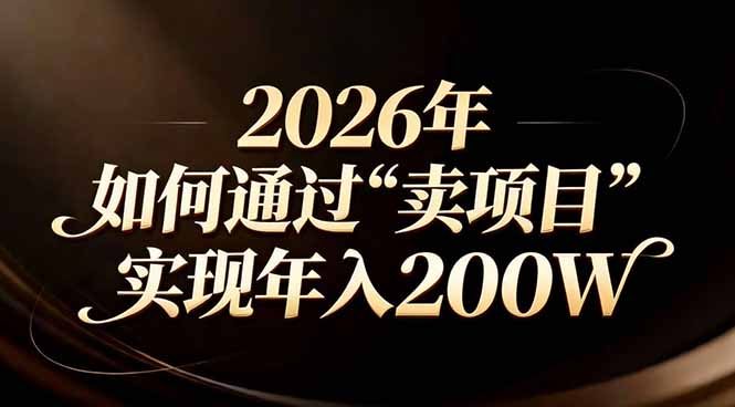 站在2026年的十字路口：一个普通人如何通过卖项目实现年入200万-HEIXMI（中国站）