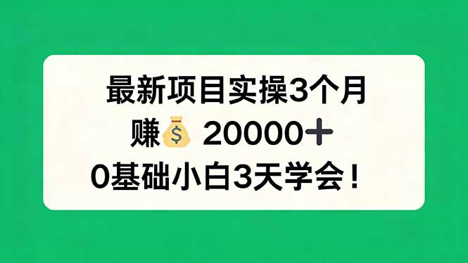 最新项目实操3个月，赚钱20000+，0基础小白3天学会！-HEIXMI（中国站）