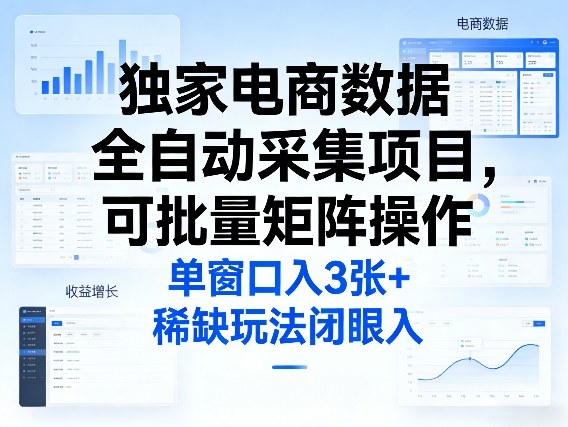 独家电商数据全自动采集项目，可批量矩阵操作，单窗口日入3张+，稀缺玩法闭眼入【揭秘】-HEIXMI（中国站）