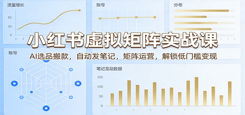 小红书虚拟矩阵实战课：AI选品搬款，自动发笔记，矩阵运营，解锁低门槛变现-HEIXMI（中国站）