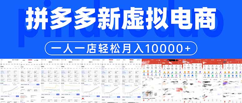 拼多多虚拟电商一人一店轻松月入10000+-HEIXMI（中国站）