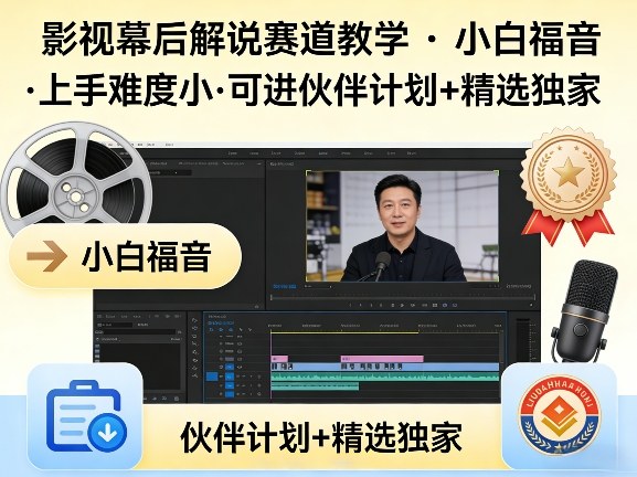 某大佬的影视幕后解说赛道教学，小白福音，上手难度小，可进伙伴计划+精选独家-HEIXMI（中国站）