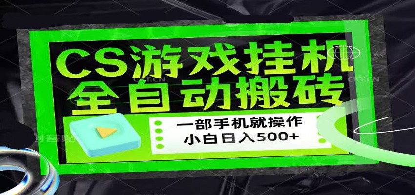 CSGO游戏挂机捡漏搬砖，超稳定的项目，带领1000+小白实现日入500+-HEIXMI（中国站）