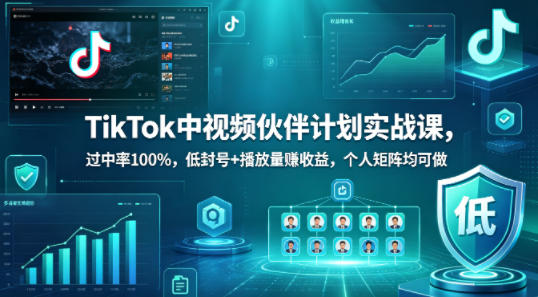 TikTok中视频伙伴计划实战课，过中率100%，低封号+播放量賺收益，个人矩阵均可做-HEIXMI（中国站）