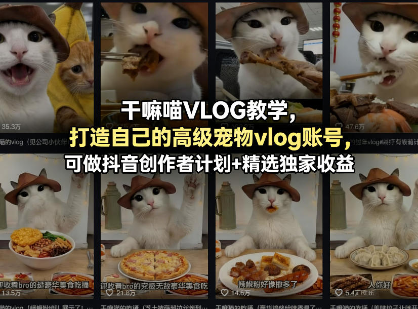 干嘛喵VLOG教学，打造自己的高级宠物vlog账号，可做抖音创作者计划+精选独家收益-HEIXMI（中国站）
