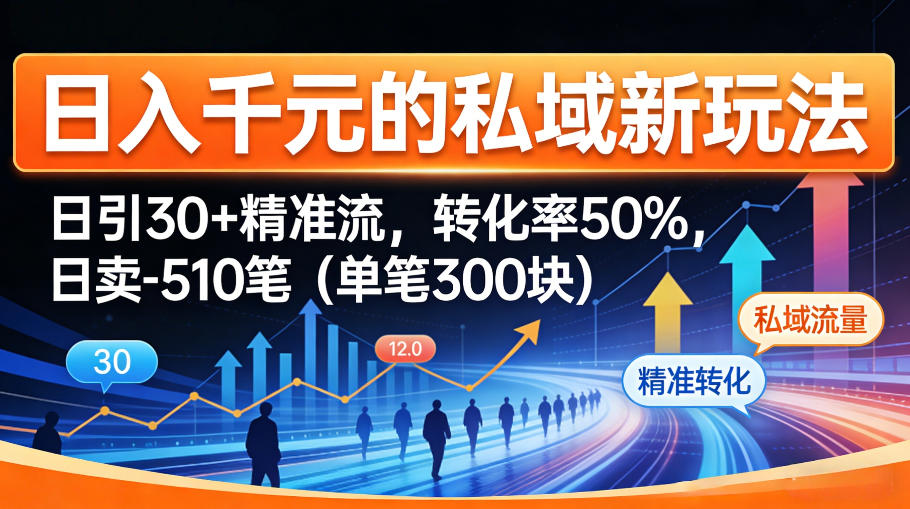 日入千米的私域新玩法：日引30＋精准流，转化率50%，日卖5-10笔(单笔300米)-HEIXMI（中国站）