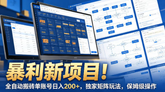 暴利新项目！全自动搬砖单账号日入200+，独家矩阵玩法，保姆级操作【揭秘】-HEIXMI（中国站）