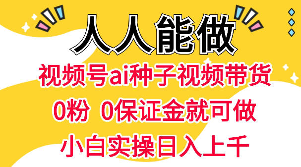 视频号AI种子带货，0粉0保证金就可做，人人能做，实操日入1k+-HEIXMI（中国站）