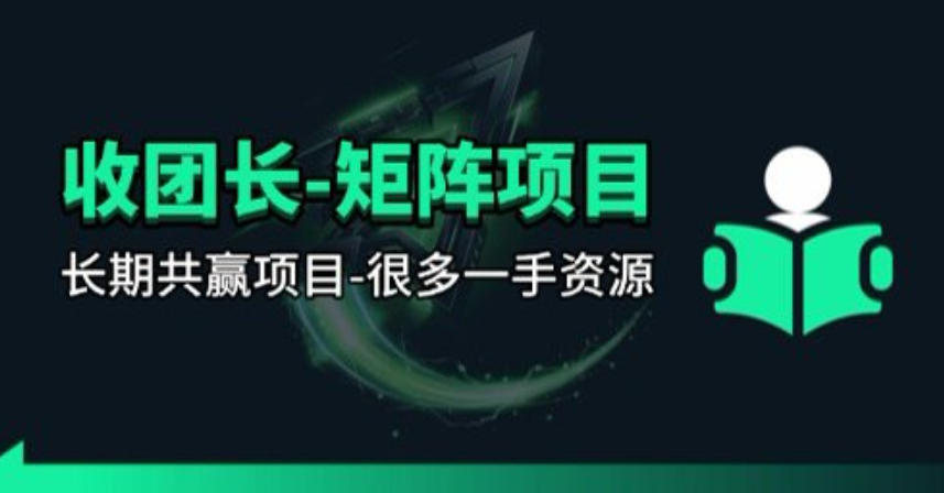 【团长合作】视频矩阵项目_招发手矩阵+剪辑师，共赢项目【揭秘】-HEIXMI（中国站）
